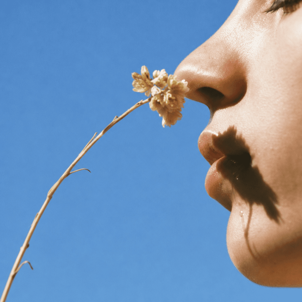 Profile of a face smelling a dried wildflower against a clear blue sky